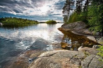 Здесь представлены различные виды природ