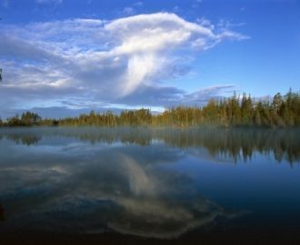 В озерах - большое количество рыбы. Это 