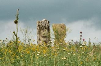 Каменные бабы. Археологический музей-зап