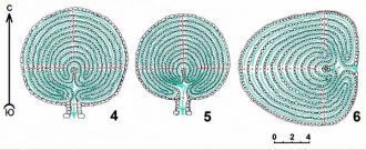 Каменные лабиринты: о. Б.Заяцкий (4-5) и