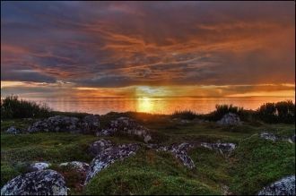 Исследователь Л.Ершов выдвинул другую те