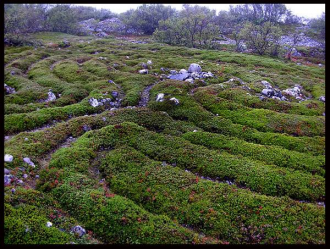 Ряды камней имеют спиралевидную форму, в
