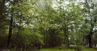 До 2008 года территория парка составляла