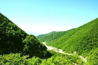 Климат на здешней территории – влаж