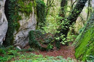 Гирканский национальный парк