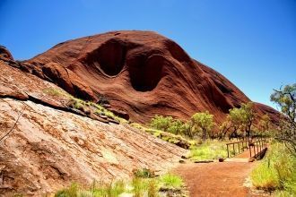 После ливня в парке появляется густой ко