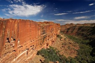 Флору национального парка составляют 416