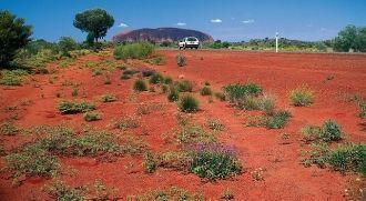 Эти горы священные для племени анангу. П