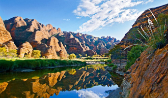 Вплоть до второй половины XX в. австрали