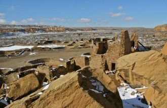 Местная растительная жизнь довольно типи