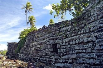 В дни праздников жрецы возили черепаху н