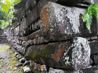 К 1914 году Хамбрух и другие исследовате