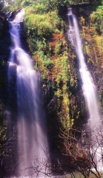 Во все стороны от парка простираются лес