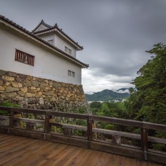 Мир принёс финансовые трудности тем реме