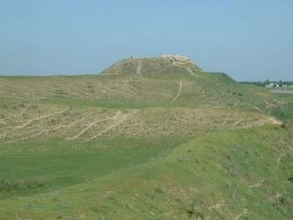 В результате исследований было установле