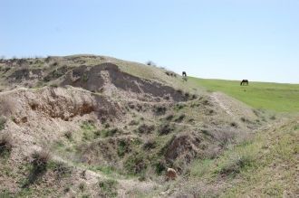 В третьем шахристане раскопаны караван-с