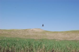 Городище Канка – являются остатками само
