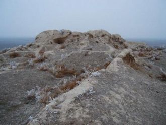 Ташкентский оазис в то время был ядром г