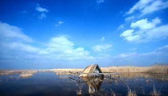 Сотню лет назад в дождливое время года б