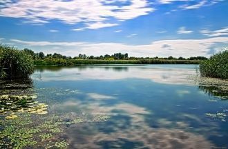Озеро Тиса – уникальный искусственный во