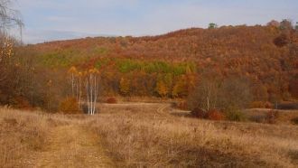 Еще одно интереснейшее мероприятие, пред