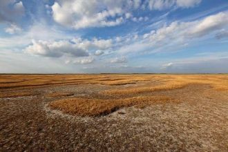 Зимою в Хортобади холодно и пустынно. Ле