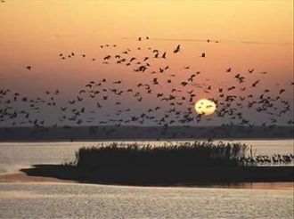 В глубине заповедника облюбовали себе ме