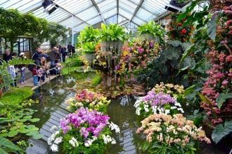 В 1769 г. сад Кью насчитывал 3400 видов 