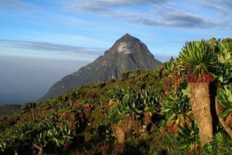 Обширные земли занимают пространство от 