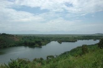 Леса национального парка Вирунга стали п