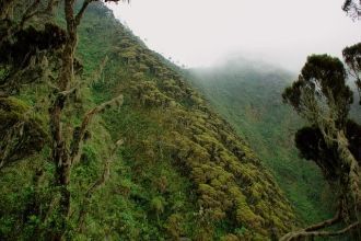 Сам по себе ландшафт парка уникален, даж