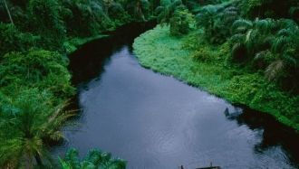 Основными обитателями парка являются гор