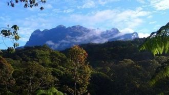 Парк Кинабалу («Taman Kinabalu» на малай