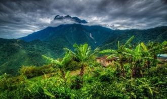 Главной особенностью парка является Кина