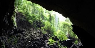 При наличии разрешения опытные исследова