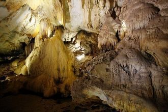 Чтобы снимать гнезда с потолка пещеры, л