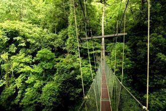 Подняться на Гунунг-Мулу (2376 м), верши