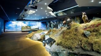 В деревушке Миттерзиль на территории зап