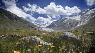 Заповеднике Высокий Тауэрн с раскинувшим