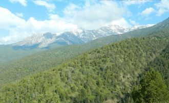 Национальный парк расположен, в основном