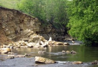 Количество осадков за год выпадает от 45