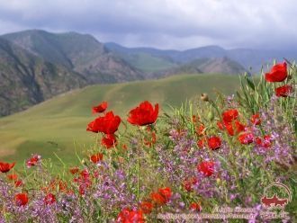 Природно-климатические условия территори