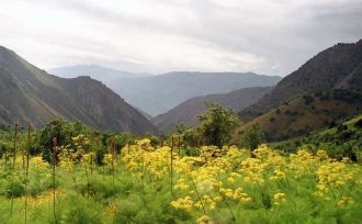 Животный мир парка богат и разнообразен,