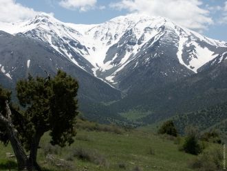 Вид на гребень Туркестанского хребта с п