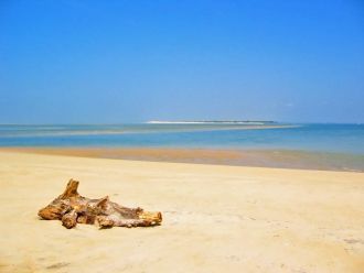 Здесь можно встретить более тысячи крабо