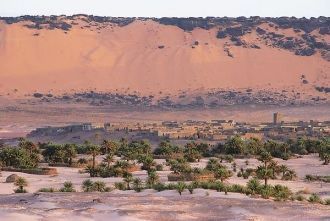 Вся растительность парка – это около 800