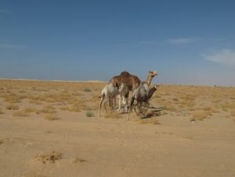 В состав парка Банк-д’Арген также входят