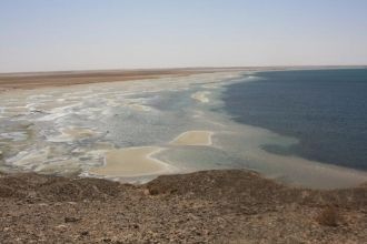 Данные болота являются самыми северными 