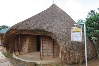 Мутеса I стал 35м королем Буганды (1856-