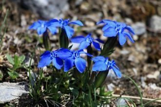 На территории парка запрещено строительс